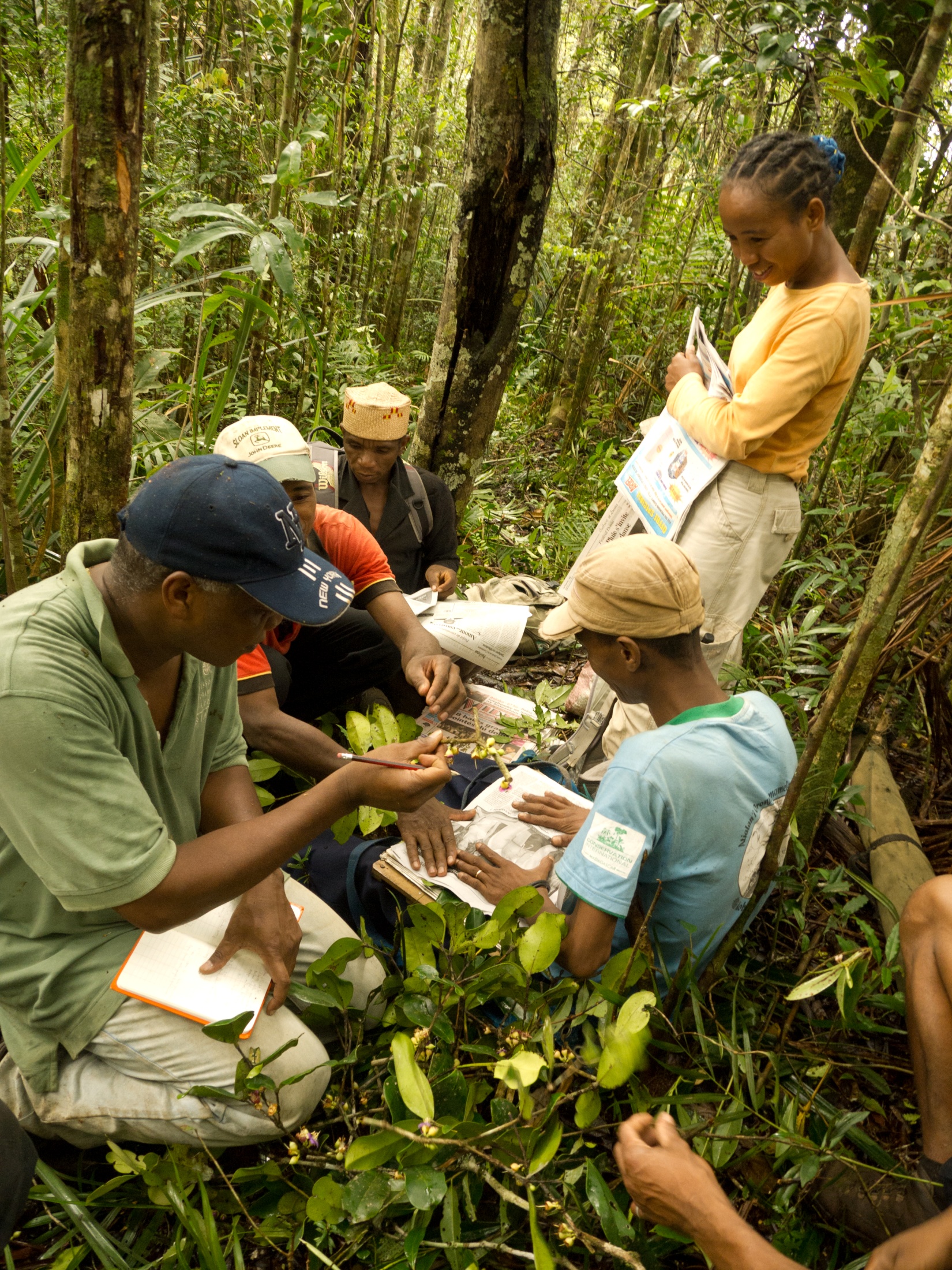 Madagascar Ethnobotany